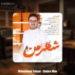 دانلود آهنگ محمد طحانی شهر من