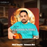 دانلود آهنگ میلاد شیخی یکیمون میره