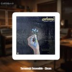 دانلود آهنگ گروه تارنوش احساس