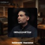 دانلود آهنگ شهاب حبیبی نگرانتم