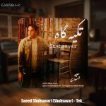 دانلود آهنگ سعید شهسواری تکیه گاه (شهسوار)