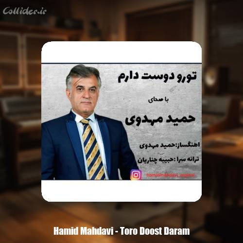 دانلود آهنگ حمید مهدوی تورو دوست دارم