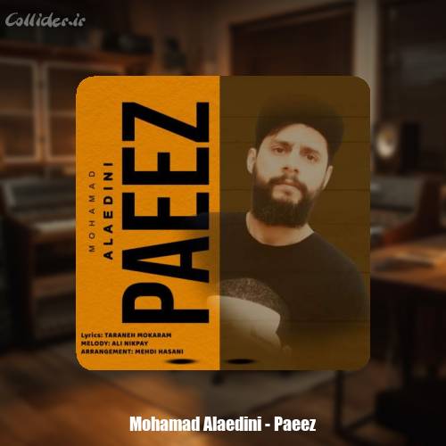 دانلود آهنگ محمد علاءالدینی پاییز
