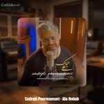 دانلود آهنگ صادق پورمنصوری علی حبک