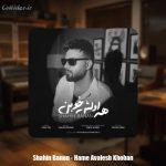 دانلود آهنگ شاهین بنان همه اولش خوبن