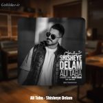 دانلود آهنگ علی طبا شیشه ی دلم