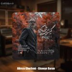 دانلود آهنگ علیرضا قربانی گیسوی باران