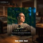 دانلود آهنگ امیر صالحی دوری