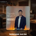دانلود آهنگ حسین توکلی نصف شب