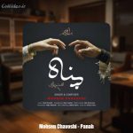 دانلود آهنگ محسن چاوشی پناه