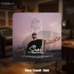 دانلود آهنگ ناصر زینلی شب (ناصر زینعلی)