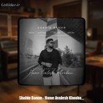 دانلود آهنگ شاهین بنان همه اولش خوبن (ورژن گیتار)