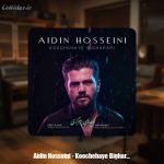 دانلود آهنگ آیدین حسینی کوچه های بی قراری