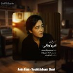 دانلود آهنگ امین بانی وقتی عاشق شوی