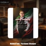 دانلود آهنگ مهبد ترک پرچم یه رنگم