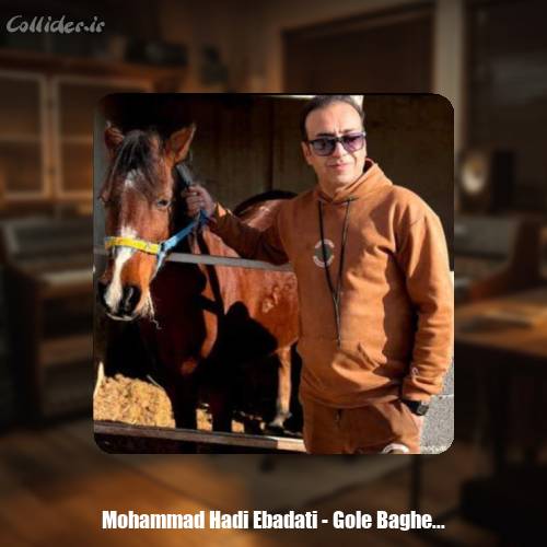 دانلود آهنگ محمد هادی عبادتی گل باغ شیراز