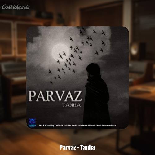 دانلود آهنگ پرواز تنها