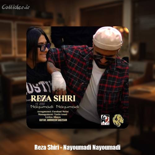 دانلود آهنگ رضا شیری نیومدی نیومدی