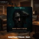 دانلود آهنگ شهاب تسلوت و میثم غزل مرگ