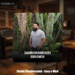 دانلود آهنگ شاهین ابراهیم زاده گرگ و میش