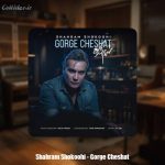 دانلود آهنگ شهرام شکوهی گرگ چشات