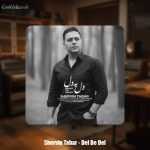 دانلود آهنگ شروین تبار دل به دل