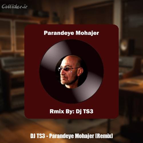 دانلود آهنگ Dj TS3 ریمیکس پرنده مهاجر (سیاوش قمیشی)