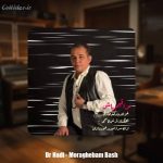 دانلود آهنگ دکتر هادی مراقبم باش