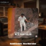 دانلود آهنگ حمیدرضا آیین مثه ماهی گلم