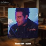 دانلود آهنگ مجید رضوی تولد