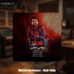 دانلود آهنگ مرتضی کشاورز شب یلدا