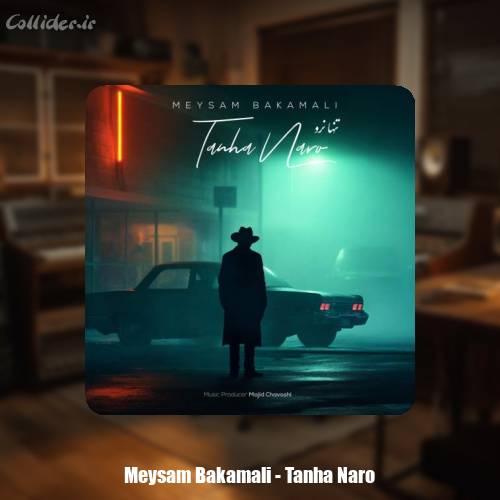 دانلود آهنگ میثم باکمالی تنها نرو